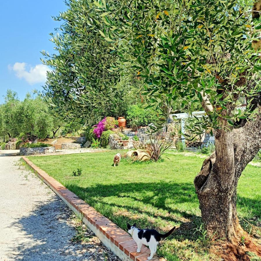 Tarohouse Marina Di Camerota Exterior foto