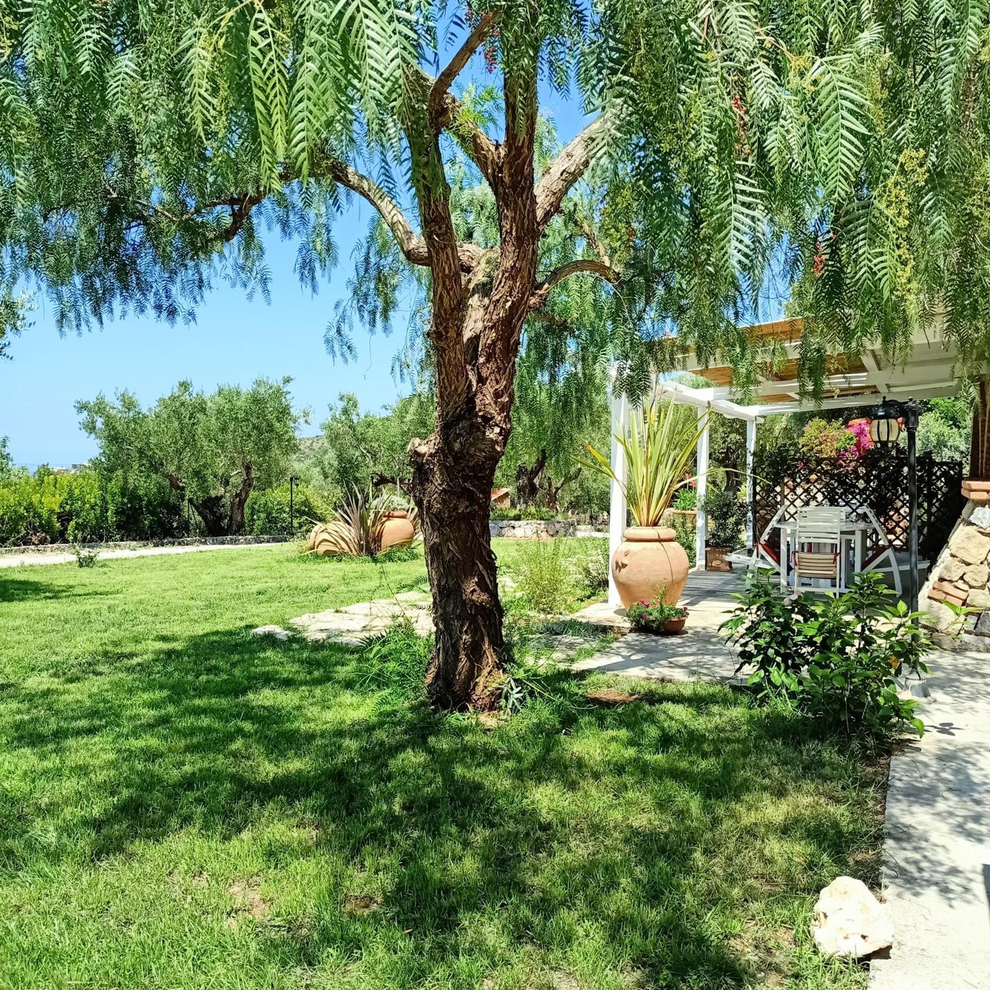 Tarohouse Marina Di Camerota Exterior foto